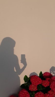 As selfies se tornaram tão populares por serem a maneira mais fácil de nos retratarmos sozinhos. Além disso, não depende de suas habilidades profissionais de fotógrafo, basta ter criatividade na hora do registro.