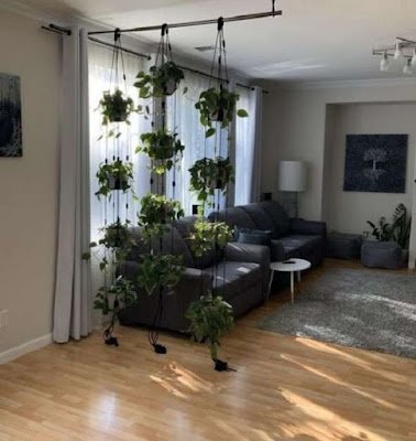 Ter plantas dentro de casa é uma ótima forma de deixar o lar mais agradável, melhorar o bem-estar e ampliar a conexão com a natureza.
