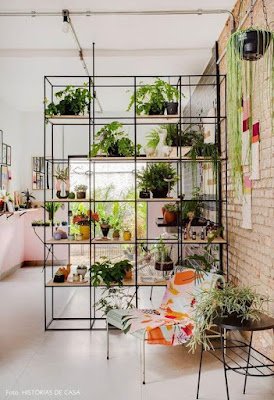 Ter plantas dentro de casa é uma ótima forma de deixar o lar mais agradável, melhorar o bem-estar e ampliar a conexão com a natureza.