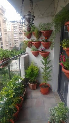 Se você é apaixonada por plantas mas tem pouco espaço em casa ou mora em um apartamento e isso está te impedindo de criar aquele jardim que sempre teve vontade, saiba que isso não precisa ser mais um problema.