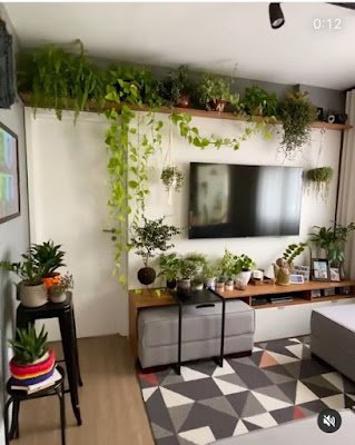 Se você é apaixonada por plantas mas tem pouco espaço em casa ou mora em um apartamento e isso está te impedindo de criar aquele jardim que sempre teve vontade, saiba que isso não precisa ser mais um problema.