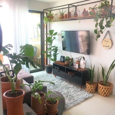 Se você é apaixonada por plantas mas tem pouco espaço em casa ou mora em um apartamento e isso está te impedindo de criar aquele jardim que sempre teve vontade, saiba que isso não precisa ser mais um problema.