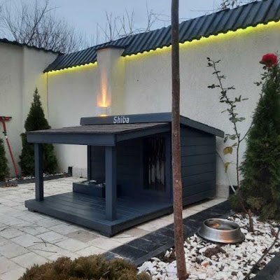 Criar um bom espaço para o seu pet, além de ser saudável para ele, ainda te ajuda a manter a casa arrumada.