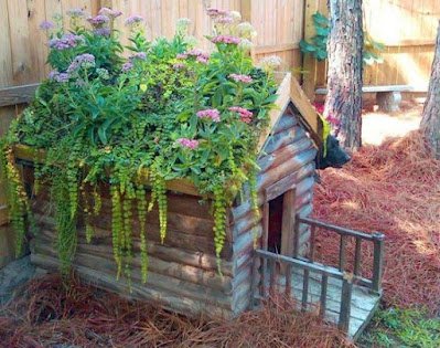 Criar um bom espaço para o seu pet, além de ser saudável para ele, ainda te ajuda a manter a casa arrumada.