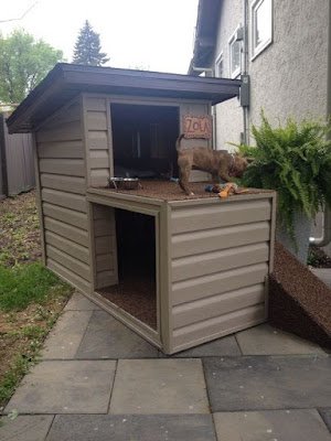 Criar um bom espaço para o seu pet, além de ser saudável para ele, ainda te ajuda a manter a casa arrumada.