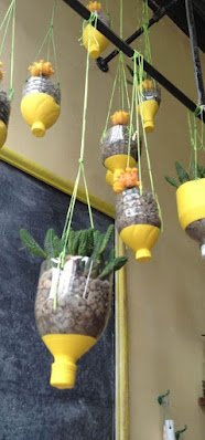 Transforme garrafas plásticas em vasos de plantas pendurados. Corte a garrafa na metade, faça alguns furos na base para drenagem e amarre uma corda para pendurar.