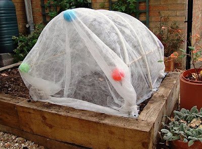 Cubra suas plantas com tecidos de juta, cobertores ou lonas quando as temperaturas estiverem próximas ou abaixo de zero. Isso fornecerá uma camada de isolamento para as plantas e ajudará a manter o calor retido.