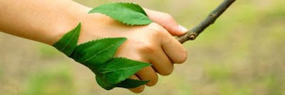 Embora o inverno possa ser uma estação mais calma em termos de jardinagem, é o momento perfeito para planejar e preparar o seu jardim para a chegada da primavera.