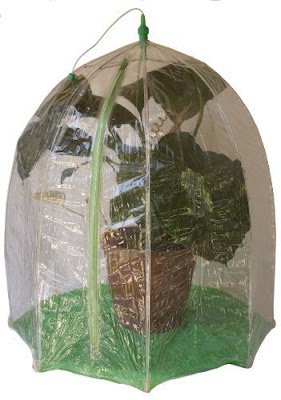 Se você possui plantas em vasos, é importante protegê-las do frio intenso. Movê-las para áreas protegidas, como varandas fechadas ou estufas ou para dentro de casa, pode ser uma opção. Caso não seja possível movê-las, envolva os vasos com mantas térmicas ou envoltórios especiais para proteger as raízes do frio intenso. Certifique-se de também evitar a formação de poças de água no prato dos vasos, pois o acúmulo de água pode levar ao apodrecimento das raízes.