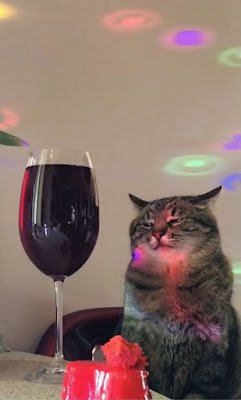 Os animais fofos desempenham um papel significativo na cultura popular em várias formas de entretenimento e mídia. Eles têm a capacidade de cativar as pessoas com sua aparência adorável, comportamento engraçado e características encantadoras.