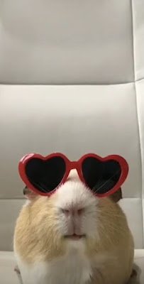 Os animais fofos desempenham um papel significativo na cultura popular em várias formas de entretenimento e mídia. Eles têm a capacidade de cativar as pessoas com sua aparência adorável, comportamento engraçado e características encantadoras.