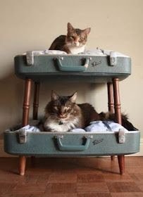 Ao invés de comprar coisas novas e produzidas em massa, podemos usar nossas próprias mãos e criar peças únicas e especiais. Acredite, muitas dessas ideias de artesanato dariam um show nas lojas de decoração mais chiques. Mas aqui, são feitas com amor e são totalmente exclusivas.