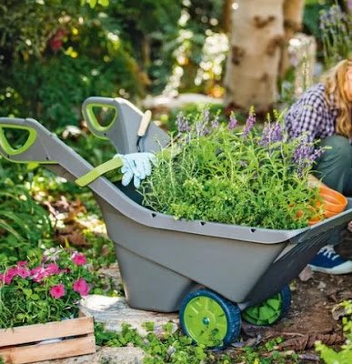 A calêndula, por exemplo, é uma bela flor que possui propriedades anti-inflamatórias e cicatrizantes. Já a lavanda é conhecida por suas virtudes relaxantes, perfeita para acalmar as noites agitadas. Cultivar e utilizar essas plantas nos permite ter uma farmácia natural ao alcance das mãos, repleta de remédios suaves e eficazes.