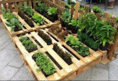 Ter uma horta terapêutica é um presente que podemos nos dar, proporcionando-nos momentos de paz e autodescoberta. é um presente que podemos nos dar, proporcionando-nos momentos de paz e autodescoberta. Que cada um de vocês encontre esse refúgio verde em suas vidas e permita-se colher os frutos dessa prática transformadora.