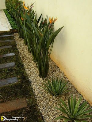 A ave-do-paraíso é uma flor exótica e encantadora, conhecida por suas cores vibrantes e formas únicas. Ela é originária das regiões tropicais da África do Sul e se tornou uma queridinha entre os jardineiros que buscam adicionar um toque de exuberância ao seu espaço verde.