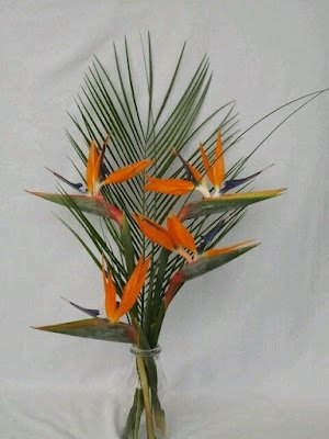 A ave-do-paraíso é uma flor exótica e encantadora, conhecida por suas cores vibrantes e formas únicas. Ela é originária das regiões tropicais da África do Sul e se tornou uma queridinha entre os jardineiros que buscam adicionar um toque de exuberância ao seu espaço verde.