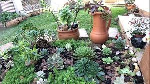 Utilize Plantas Tolerantes à Seca:  Escolha espécies adaptadas a climas áridos e que requerem menos água. Cactos, suculentas e plantas nativas são excelentes opções para um jardim autossuficiente.