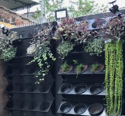 Jardim Suspenso com Reservatório Embutido:  Experimente criar um jardim suspenso com vasos equipados com reservatórios de água embutidos. Isso não apenas economiza espaço, mas também mantém as plantas bem-hidratadas.