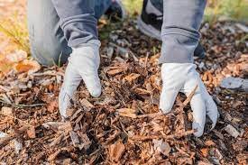 Camadas de Mulching:  Aplique camadas de cobertura morta (mulching) no solo ao redor das plantas. Essa técnica conserva a umidade, reduz a evaporação e minimiza a necessidade de rega constante