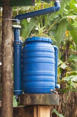 Sistema de Captação de Água da Chuva:  Instale um sistema simples para captar a água da chuva e armazená-la. Essa água pode ser utilizada para regar o jardim nos períodos mais secos, promovendo a sustentabilidade.