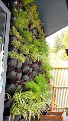 Jardim Suspenso com Reservatório Embutido:  Experimente criar um jardim suspenso com vasos equipados com reservatórios de água embutidos. Isso não apenas economiza espaço, mas também mantém as plantas bem-hidratadas.