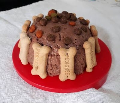 A comida é uma parte essencial de qualquer festa, e nossos pets não podem ficar de fora! Prepare petiscos deliciosos e seguros para eles. Biscoitos em formato de árvore de Natal ou estrela são uma escolha divertida. Ah, e se seu pet não for muito fã de novidades gastronômicas, sempre há a opção clássica: petiscos favoritos em formato festivo.