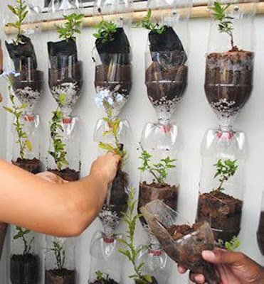 Além de ser uma opção sustentável, os jardins verticais com garrafa PET também são uma excelente maneira de cultivar ervas, temperos e até mesmo pequenas plantas ornamentais em espaços compactos. Então, que tal colocar as mãos na terra e criar o seu próprio jardim vertical com garrafa PET? Estou ansiosa para ver as suas criações!