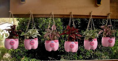 Além de ser uma opção sustentável, os jardins verticais com garrafa PET também são uma excelente maneira de cultivar ervas, temperos e até mesmo pequenas plantas ornamentais em espaços compactos. Então, que tal colocar as mãos na terra e criar o seu próprio jardim vertical com garrafa PET? Estou ansiosa para ver as suas criações!