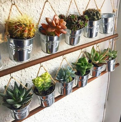 Não subestime o poder das suculentas! Elas não só são fáceis de cuidar, mas também vão estar dominando as prateleiras de decoração, trazendo aquela vibe desértica chic.