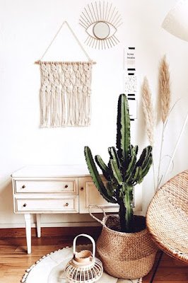 Os cactos estão evoluindo! Prepare-se para ver versões híbridas, cores inusitadas e tamanhos que desafiam a gravidade. É a revolução dos cactos em 2024!