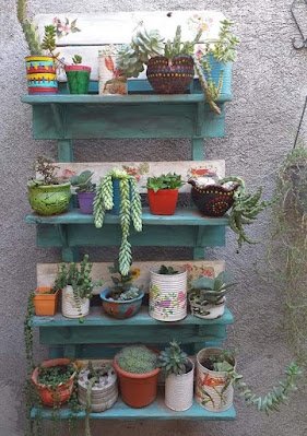 Não subestime o poder das suculentas! Elas não só são fáceis de cuidar, mas também vão estar dominando as prateleiras de decoração, trazendo aquela vibe desértica chic.