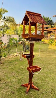 Jardins biodiversos proporcionam um ambiente relaxante e nos conectam com a natureza, melhorando nosso bem-estar.