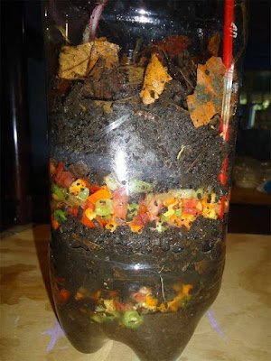 Jardins biodiversos proporcionam um ambiente relaxante e nos conectam com a natureza, melhorando nosso bem-estar.