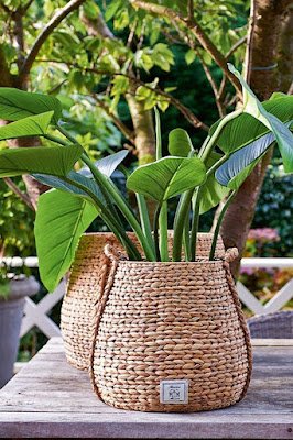 Se você busca um toque mais rústico, não subestime o poder dos cestos! Além de serem uma alternativa sustentável, eles trazem aquele charme natural e uma sensação acolhedora para suas plantinhas.