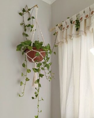 Elevando o jogo literalmente! Vasos suspensos são a escolha perfeita para quem quer economizar espaço e dar aquele toque de natureza flutuante ao lar. Pendure, crie seu próprio oásis aéreo e deixe suas plantas brilharem!