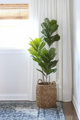 Se você busca um toque mais rústico, não subestime o poder dos cestos! Além de serem uma alternativa sustentável, eles trazem aquele charme natural e uma sensação acolhedora para suas plantinhas.