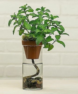 Quem disse que plantar exige habilidades avançadas? Invista em vasos autoirrigáveis para manter suas plantas felizes mesmo nos dias mais agitados. Com esses parceiros high-tech, até mesmo quem não tem tempo de sobra pode ter um jardim exuberante.