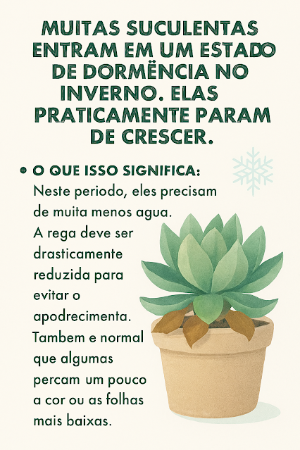 Muitas suculentas entram em um estado de dormência no inverno. Elas praticamente param de crescer.  · O Que Isso Significa: Neste período, elas precisam de muito menos água. A rega deve ser drasticamente reduzida para evitar o apodrecimento. Também é normal que algumas percam um pouco a cor ou as folhas mais baixas.