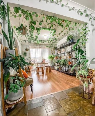 Biofilia continuará sendo destaque nos projetos em 2023 O verde nos ambientes evoca bem-estar e melhora a qualidade de vida.