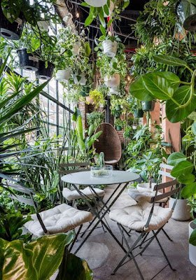 Biofilia continuará sendo destaque nos projetos em 2023 O verde nos ambientes evoca bem-estar e melhora a qualidade de vida.