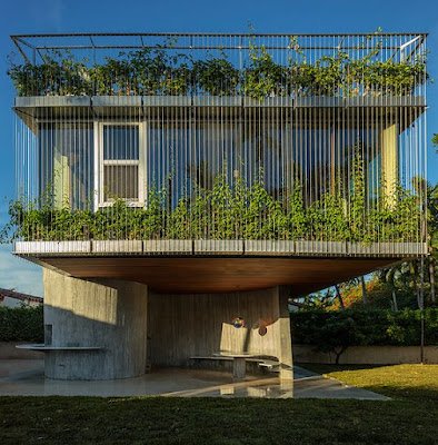 Biofilia continuará sendo destaque nos projetos em 2023 O verde nos ambientes evoca bem-estar e melhora a qualidade de vida.